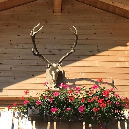 Alpenlodge Kirchbach Kirchbach  Ngoại thất bức ảnh