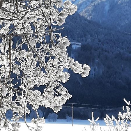 Alpenlodge Kirchbach Kirchbach  Ngoại thất bức ảnh