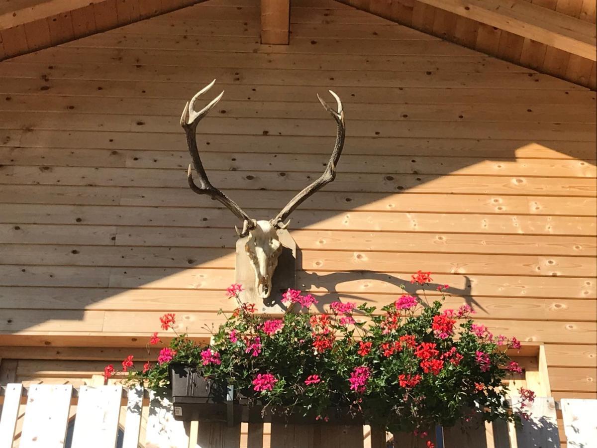 Alpenlodge Kirchbach Kirchbach  Ngoại thất bức ảnh